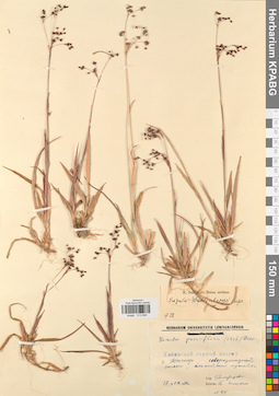 KPABG012890