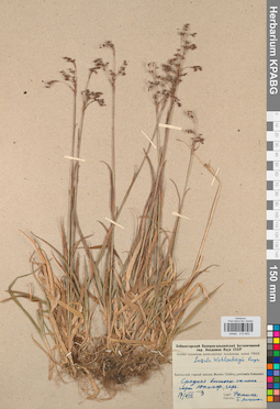 KPABG012903