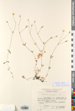 KPABG021779