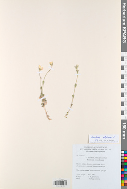 KPABG021781