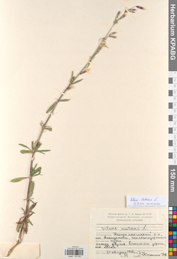 KPABG022495