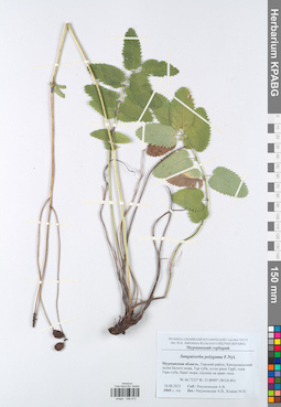 KPABG048473