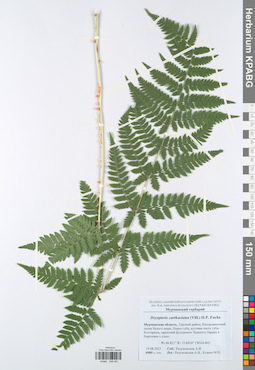 KPABG048481