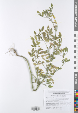 KPABG048541