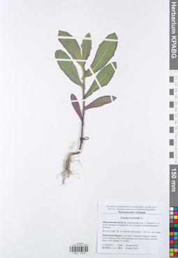 KPABG048565