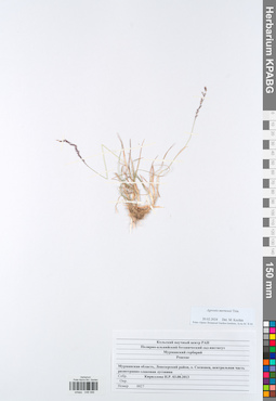 KPABG048586