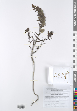 KPABG048791