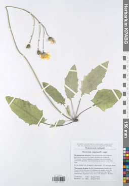 KPABG048823