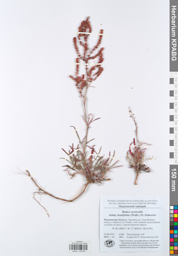 KPABG049036