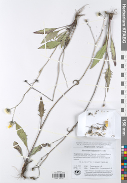 KPABG049042