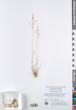 KPABG049048