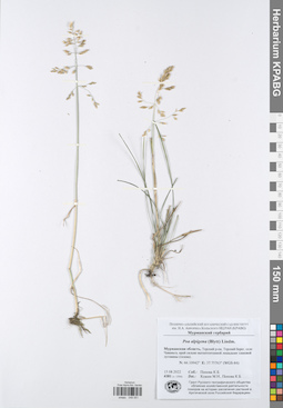KPABG049051