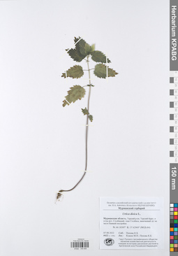 KPABG049068