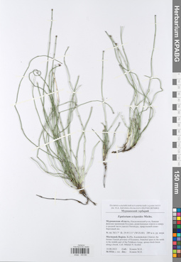 KPABG049082