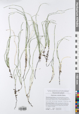 KPABG049083