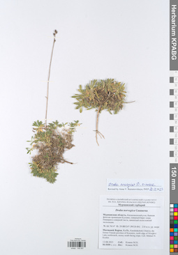 KPABG049087