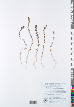 KPABG049133