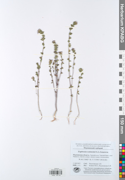 KPABG049140
