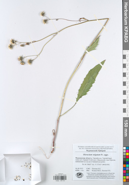 KPABG049153