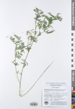 KPABG049165