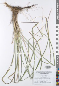 KPABG049194
