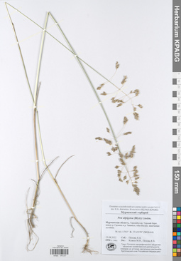 KPABG049237