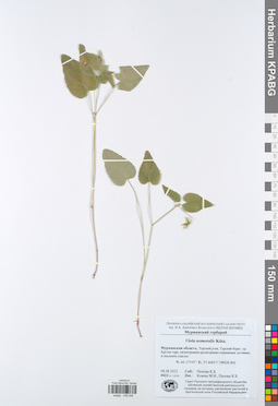 KPABG049246
