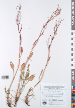 KPABG049256