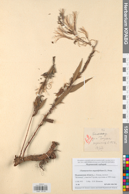 KPABG004903