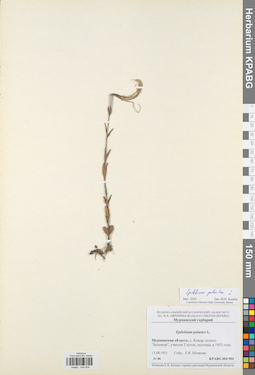 KPABG004904