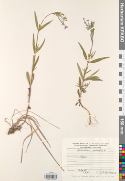 KPABG032269