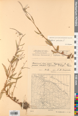 KPABG032291