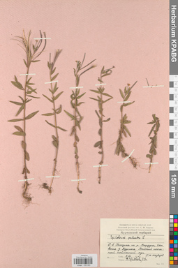 KPABG032303