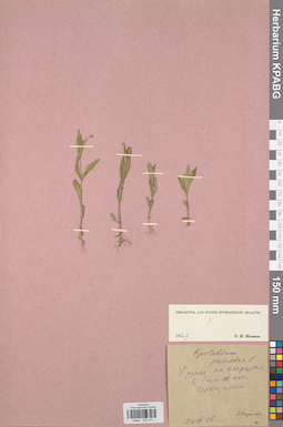 KPABG032311