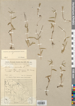 KPABG032312