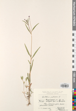 KPABG032328
