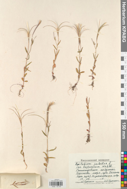 KPABG032330