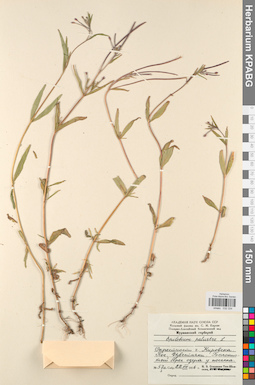 KPABG032334