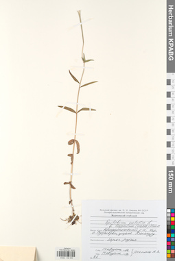 KPABG032405