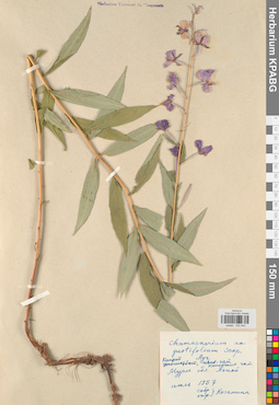 KPABG032442