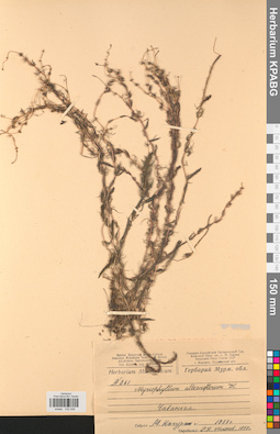 KPABG032506