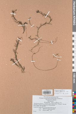 KPABG032512