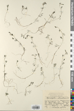 KPABG032523