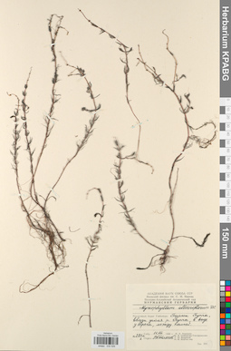 KPABG032526