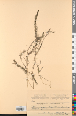 KPABG032529