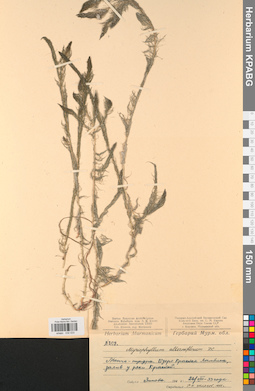 KPABG032533