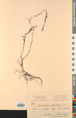 KPABG032534