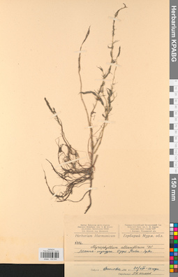 KPABG032535