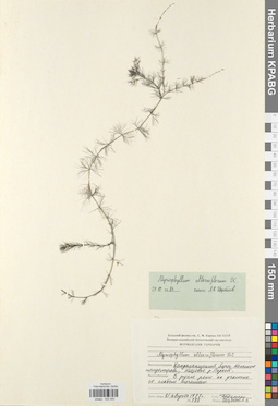 KPABG032540
