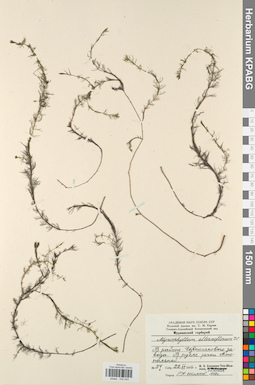 KPABG032543